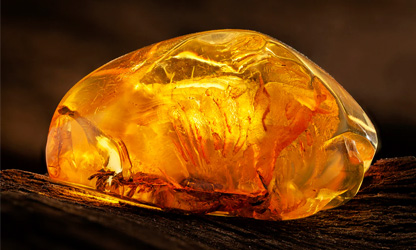 Amber House
