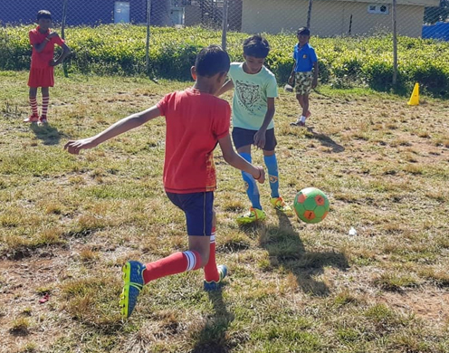 Playground & Sports